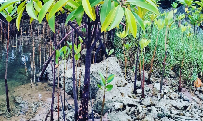 Lights! Camera! Action! With the Micronesia Challenge | Pacific Environment